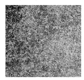 info-278-264 info-278-264